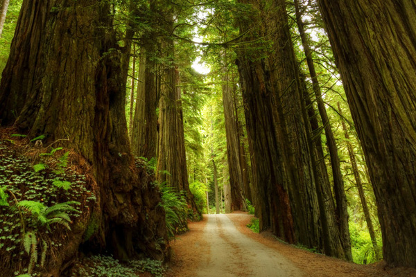 التميز المستدام والخبرة العالمية